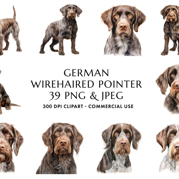 Watercolor German Wirehaired Pointer Clipart Bundle 39 High Quality PNG & JPEG, Gift for Dog Mom and Dad, Digital Crafting, Digital Download