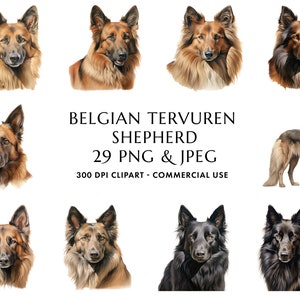 Aquarell Belgische Tervuren Shepherd Clipart Bundle 29 Hochwertige PNG & JPEG, Geschenk für Hund Mama und Papa, digitales Basteln, digitaler Download