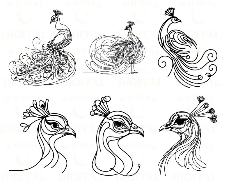 Peacock SVG Clipart: Minimalist Line Art Vector (digital Download) - Etsy