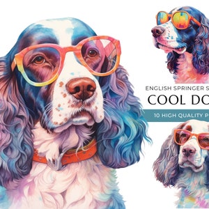 Coole englische Springer Spaniel Hund Clipart, 10 hochwertige PNGs, lustige Hunde mit Sonnenbrille Aquarell, digitales Basteln, digitaler Download