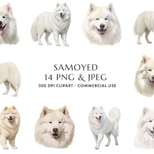 Aquarell Samojede Clipart Bundle 14 hochwertige PNG & JPEG, Geschenk für Hund Mama und Papa, digitales Basteln, digitaler Download