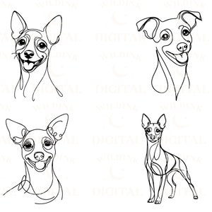 May include: Four line drawings of a small dog breed, possibly a Chihuahua, in different poses. The dog is depicted with a happy expression and a wagging tail.