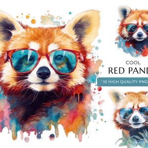 Clipart de panda vermelho aquarela com óculos de sol, 10 PNG e JPEG de alta qualidade, estampa animal legal, artesanato digital, download digital