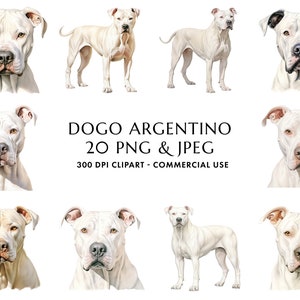 Watercolor Dogo Argentino Clipart Bundle 20 High Quality PNG & JPEG, Gift for Dog Mom and Dad, Digital Crafting, Digital Download image 1