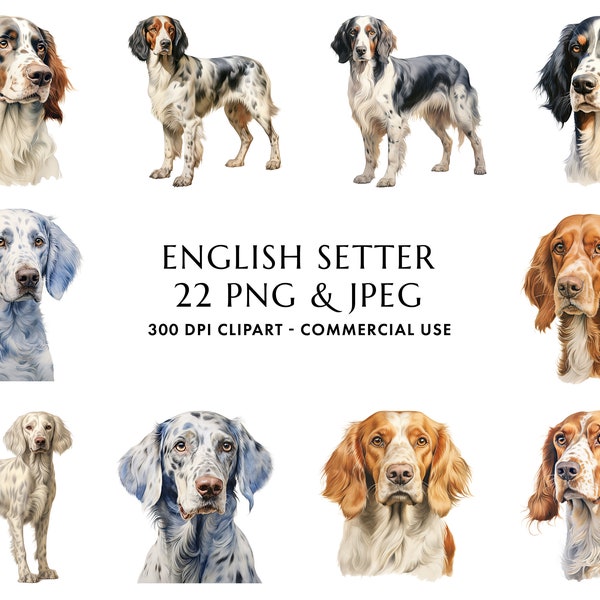 Aquarelle English Setter Clipart Bundle 22 PNG et JPEG de haute qualité, Cadeau pour maman et papa chien, Artisanat numérique, Téléchargement numérique