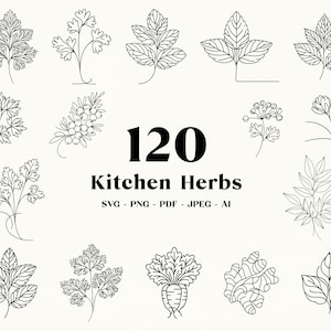 120 Paquete SVG de hierbas de cocina, Imágenes prediseñadas de arte de línea de cocina, Hierbas SVG, Granja, Jardinería PNG, Gráficos vectoriales, Sublimación, Descarga digital
