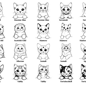 May include: Black and white line drawings of different cat breeds, including Ragdoll, Russian Blue, Scottish Fold, Siamese, Siberian, Sphynx, Tabby, and Tortoiseshell.