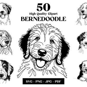 May include: Black and white Bernedoodle clipart set. The image features 50 high-quality line art illustrations of Bernedoodle dogs in various poses. Includes SVG, PNG, JPG, and PDF file formats.