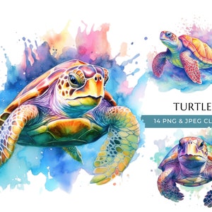 Meeresschildkröte Clipart - 14 hochwertige PNGs & JPEG - Bunte Aquarell Schildkröte - Digital Crafting - Sofortiger digitaler Download