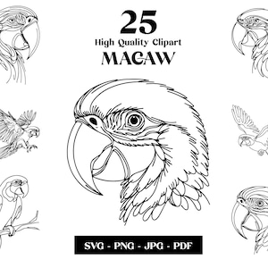 Clipart SVG de arara, arte de linha minimalista de papagaio, vetor de animal de pássaro, arte moderna, design de tatuagem e sublimação, bordado, download digital