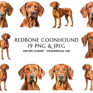 Aquarell Redbone Coonhound Clipart Bundle 19 Hochwertige PNG & JPEG, Geschenk für Hundemama und Papa, digitales Basteln, digitaler Download