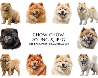 Akvarell Chow Chow Clipart: 20 PNG- och JPEG-hundgrafik (digital nedladdning)