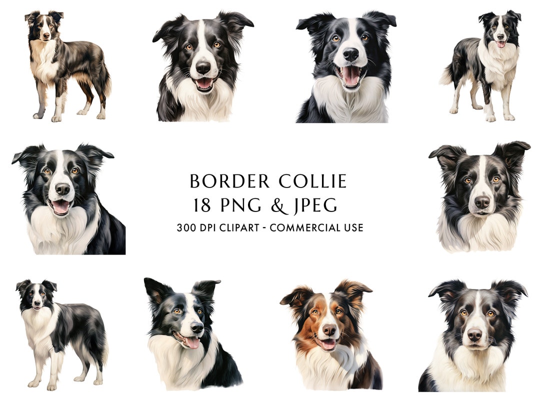 Lot De 2 étiquettes à Bagages Troupeau Border Collie L1845 - Simili Cuir, Neuves