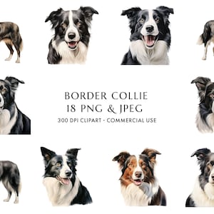 Pacote de clipart aquarela Border Collie 18 PNG e JPEG de alta qualidade, presente para mamãe e papai cachorro, artesanato digital, download digital