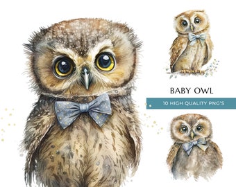 Watercolor Baby Owl Clipart: Bow Tie, Woodland Nursery Art (PNG Digital Download)