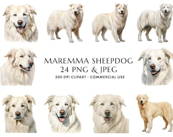 Pacote de clipart de pastor de Maremma em aquarela, presente para mãe de cachorro (download digital)