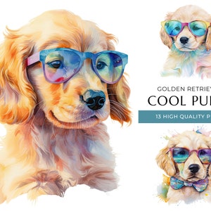Clipart legal de cachorro Golden Retriever, 13 PNGs de alta qualidade, cachorros bebês engraçados e fofos com óculos de sol, artesanato digital, download digital