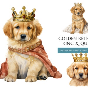 Clipart de aquarela de cachorro King & Queen Golden Retriever - 15 PNG e JPEG de alta qualidade, cães reais - download digital instantâneo