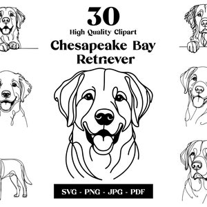 Ensemble de cliparts SVG et PNG Chesapeake Bay Retriever : dessin au trait numérique Chessie, dessin de chien vectoriel minimaliste pour sublimation, téléchargement numérique