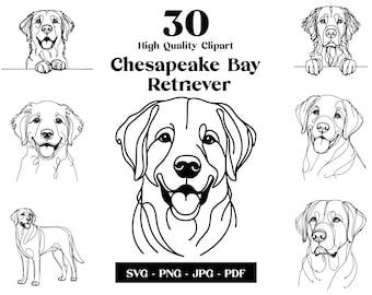 Chesapeake Bay Retriever Line Art: Dog SVG Clipart Bundle (Digital Download)
