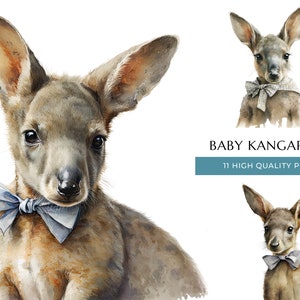 Baby canguro con papillon Acquerello Clipart di 11 PNG, graziose stampe di animali per bambini, arredamento e parete della scuola materna, sublimazione, download digitale