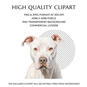 Watercolor Dogo Argentino Clipart Bundle 20 High Quality PNG & JPEG, Gift for Dog Mom and Dad, Digital Crafting, Digital Download image 2