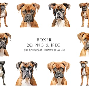 Aquarell Boxer Clipart Bundle 20 hochwertige PNG & JPEG, Geschenk für Hundemama und -papa, digitales Basteln, digitaler Download