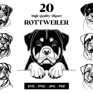Pacchetto Rottweiler SVG e PNG Clipart: Digital Line Art, disegno vettoriale minimalista per sublimazione, amante dei cani, download digitale del cucciolo