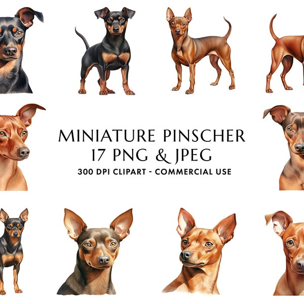 Aquarelle Miniature Pinscher Clipart Bundle 17 PNG et JPEG de haute qualité, Cadeau pour maman et papa chien, Artisanat numérique, Téléchargement numérique