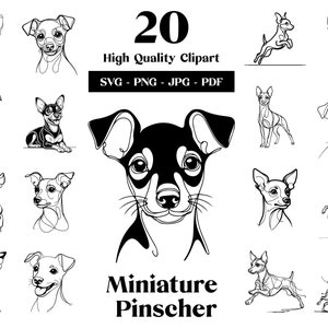Dwergpinscher SVG & PNG clipart bundel: Min Pin digitale lijntekeningen, minimalistische vectorhondtekening voor sublimatie, digitale download
