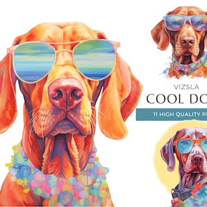 Coole Vizsla Hund Clipart, 11 hochwertige PNGs, lustige Hunde mit Sonnenbrille Aquarell, digitales Basteln, digitaler Download