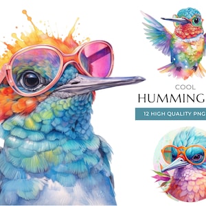 Watercolor Hummingbird Clipart with Sunglasses, 12 High-Quality PNG & JPEG, Cool Animal Print, Digital Crafting, Digital Download