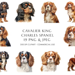 Aquarell Cavalier King Charles Spaniel Clipart Bundle 19 Hochwertige PNG & JPEG, Geschenk für Hundemama und Papa, digitaler Download
