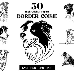 Border Collie Hund SVG & PNG Clipart Bundle: Digitale Linie Kunst, minimalistische Vektor Hund Zeichnung für Sublimation, Welpe Digital Download