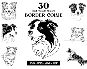 Border Collie Line Art: Hund SVG & PNG Clipart Bundle (digitaler Download)