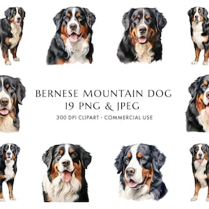 Aquarell Berner Sennenhund Clipart Bundle 19 hochwertige PNG & JPEG, Geschenk für Bernie Hunde Mama und Papa, digitaler Download