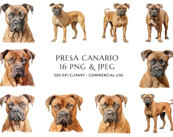 Presa Canario Watercolor Clipart Bundle: Dog Mom/Dad Gift (Digital Download)