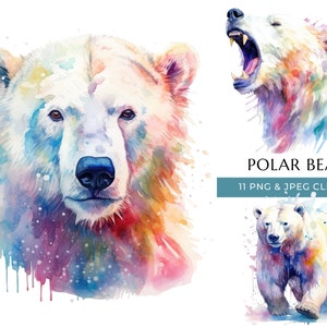 Polar Bear Clipart - 11 High Quality PNGs & JPEG - Colorful Watercolor Wild Animal Prints - Digital Crafting - Instant Digital Download