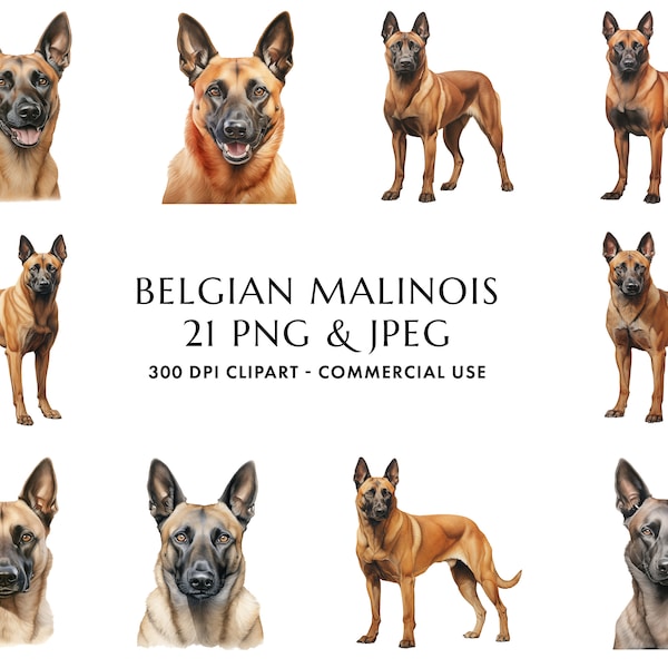 Watercolor Belgian Malinois Clipart Bundle 21 High Quality PNG & JPEG, Gift for Dog Mom and Dad, Digital Crafting, Digital Download