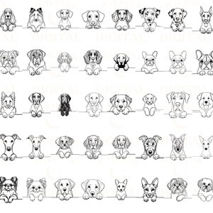 May include: Black and white line drawings of various dog breeds, each with a different expression. The dogs are all looking at the viewer and have their paws resting on a horizontal line.