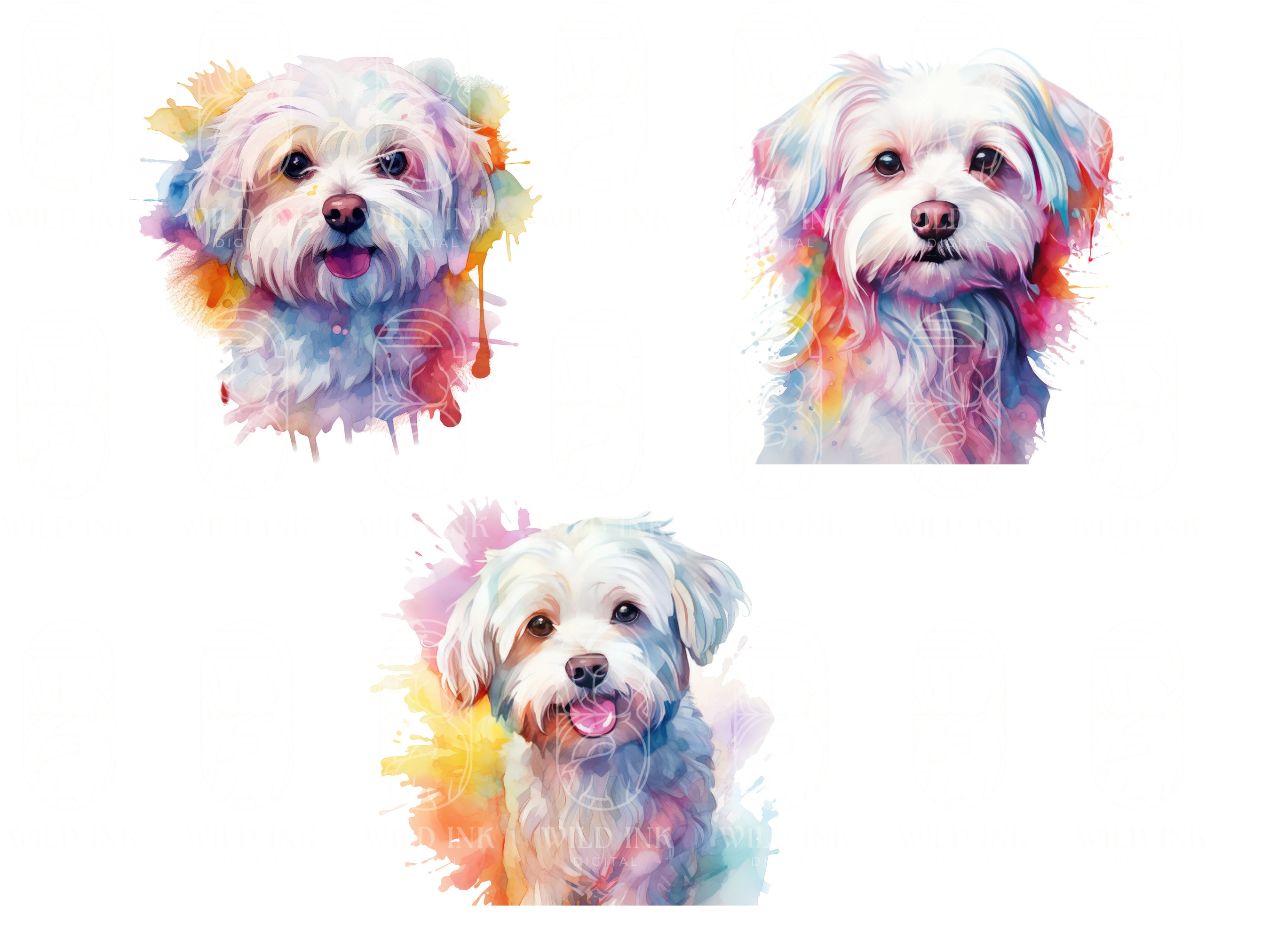 Watercolor Maltese Dog Clipart – 11 PNG & JPEG Images (digital Download ...