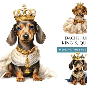 Koning & Koningin teckel schattige puppy aquarel clipart - 14 hoge kwaliteit PNG en JPEG, Royal Dogs - Instant Digitale Download