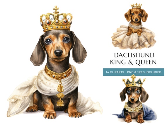 King dachshund sale