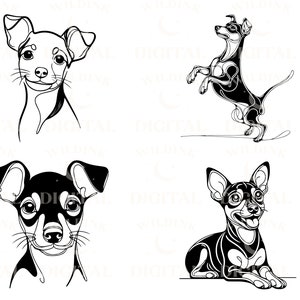 May include: Four black and white line drawings of a miniature pinscher dog in different poses. The first image shows the dog's head and shoulders, the second shows the dog standing on its hind legs, the third shows the dog's head and shoulders, and the fourth shows the dog lying down.