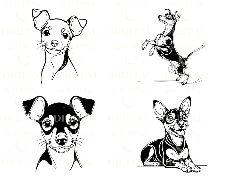 May include: Four black and white line drawings of a miniature pinscher dog in different poses. The first image shows the dog's head and shoulders, the second shows the dog standing on its hind legs, the third shows the dog's head and shoulders, and the fourth shows the dog lying down.