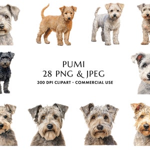 Watercolor Pumi Clipart Bundle 28 High Quality PNG & JPEG, Gift for Dog Mom and Dad, Digital Crafting, Digital Download