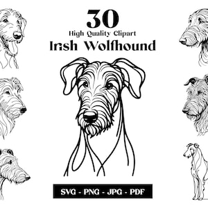 Pacchetto Clipart SVG e PNG del levriero irlandese: Digital Line Art, disegno vettoriale minimalista per sublimazione, download digitale del cucciolo