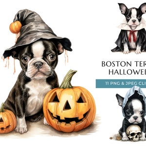 Boston Terrier Halloween Dog Watercolor Clipart - 11 High-Quality PNG & JPEG, Trick or Treat Cute Puppy, Digital Download