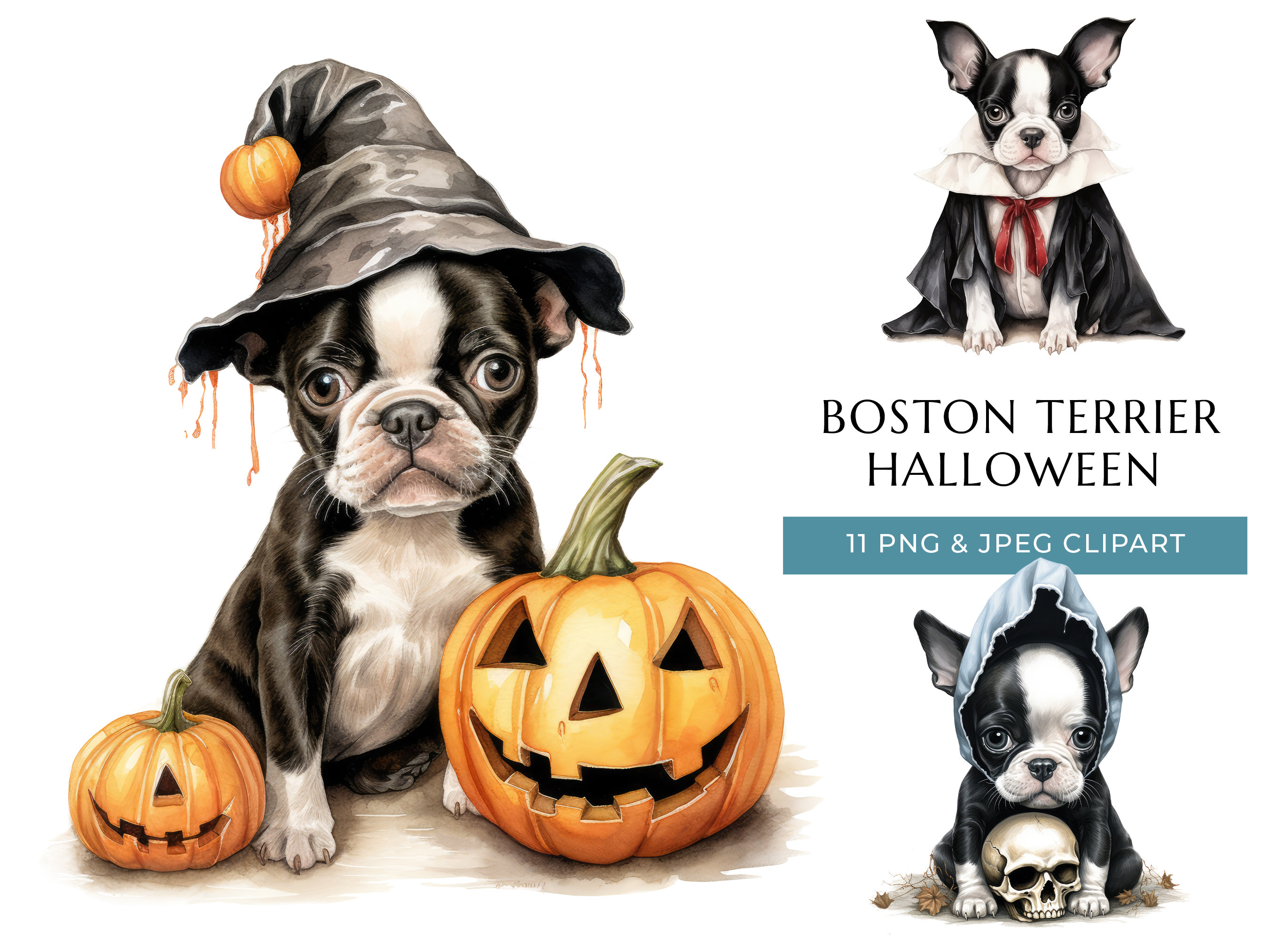 Boston Terrier Halloween Clipart – Watercolor Puppy PNG JPEG (digital