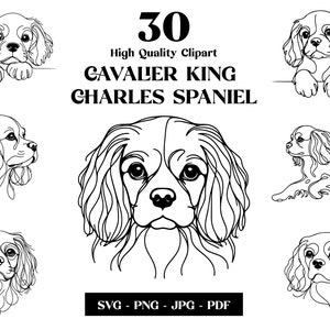 Cavalier King Charles Spaniel SVG & PNG Clipart Bundle: Digital Line Art, Minimalist Vector Dog Drawing for Sublimation, Digital Download